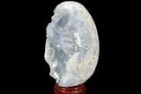 Crystal Filled Celestine (Celestite) Egg Geode - Large Crystals! #88318-2